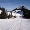 IMG_1721