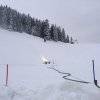 IMG_2887