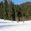 IMG_0911