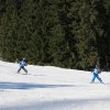 IMG_0913