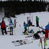 IMG_0782