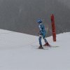 IMG_4610