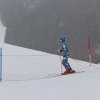 IMG_4611