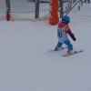 DSC07208