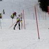 IMG_2595