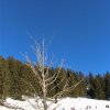 IMG_3828