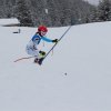 IMG_3422
