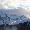 IMG_3551