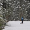 IMG_7347