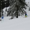 IMG_7488