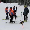 IMG_7496