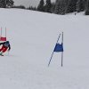 IMG_7843