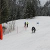 IMG_7937