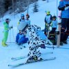 IMG_8291