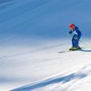 IMG_8365